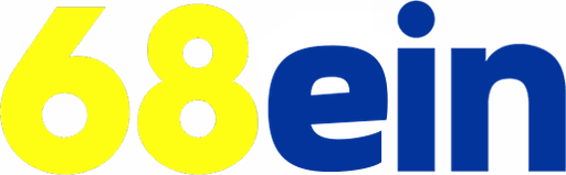 vn68ein Logo